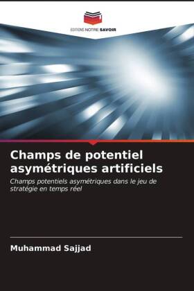 Champs de potentiel asymétriques artificiels