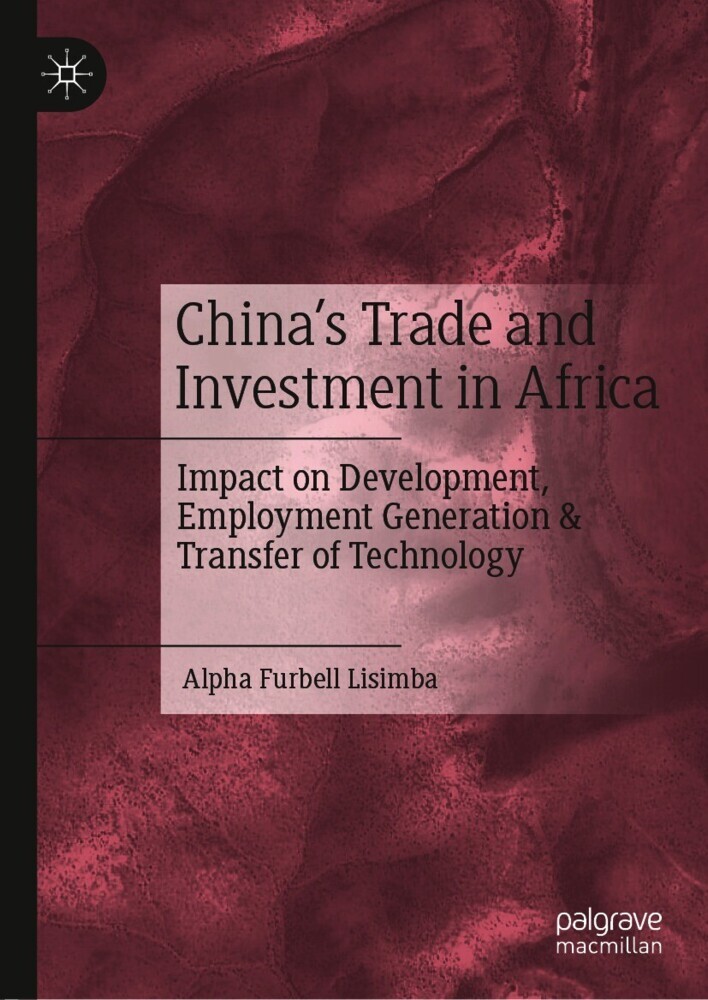 China's Trade and Investment in Africa main product photo