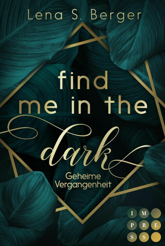 Find Me in the Dark. Geheime Vergangenheit main product photo
