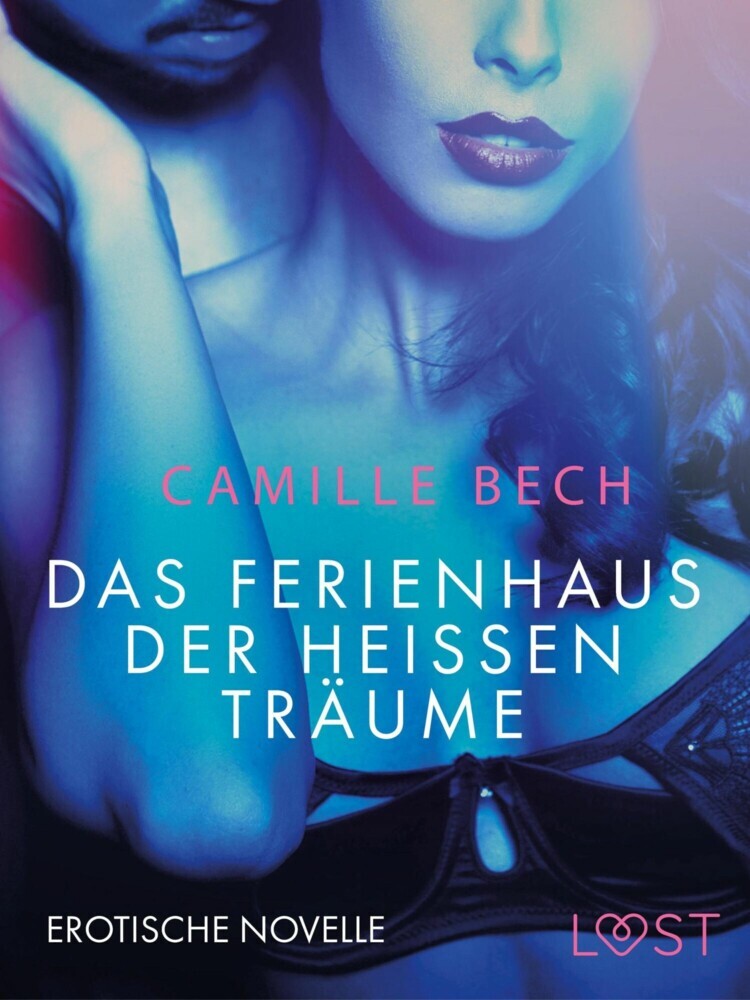 Das Ferienhaus der heißen Träume: Erotische Novelle main product photo