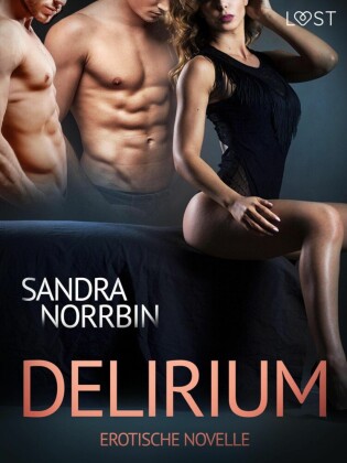 Delirium: Erotische Novelle