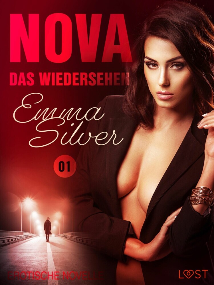 Nova 1 - Das Wiedersehen: Erotische Novelle main product photo