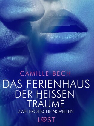 Das Ferienhaus der heißen Träume - Zwei erotische Novellen