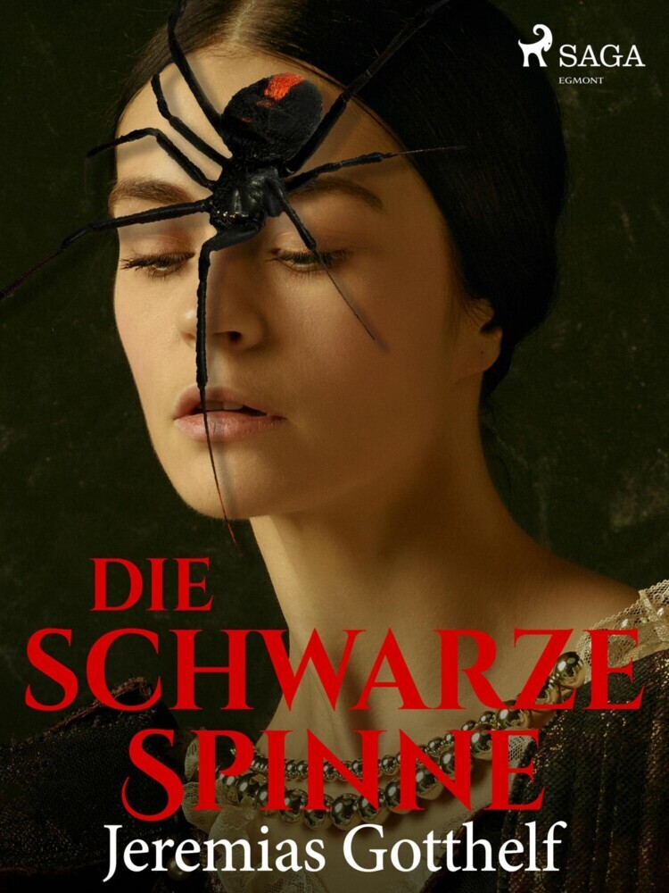 Die schwarze Spinne main product photo