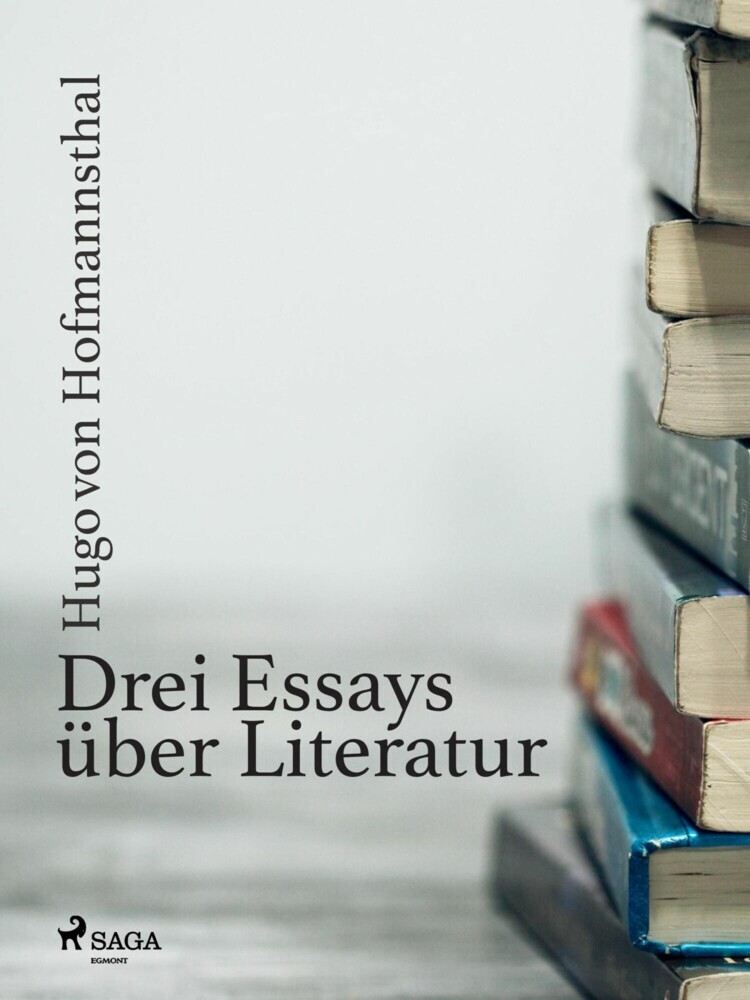 Drei Essays über Literatur main product photo