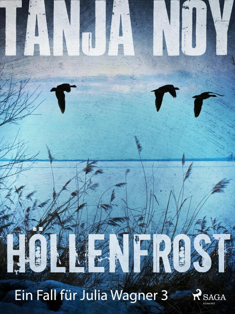 Höllenfrost - Ein Fall für Julia Wagner: Band 3 main product photo