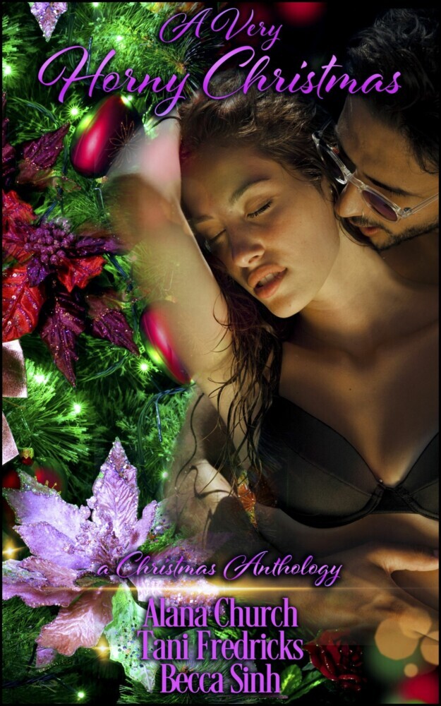 A Very Horny Christmas - A Christmas Anthology main product photo