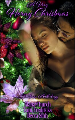 A Very Horny Christmas - A Christmas Anthology