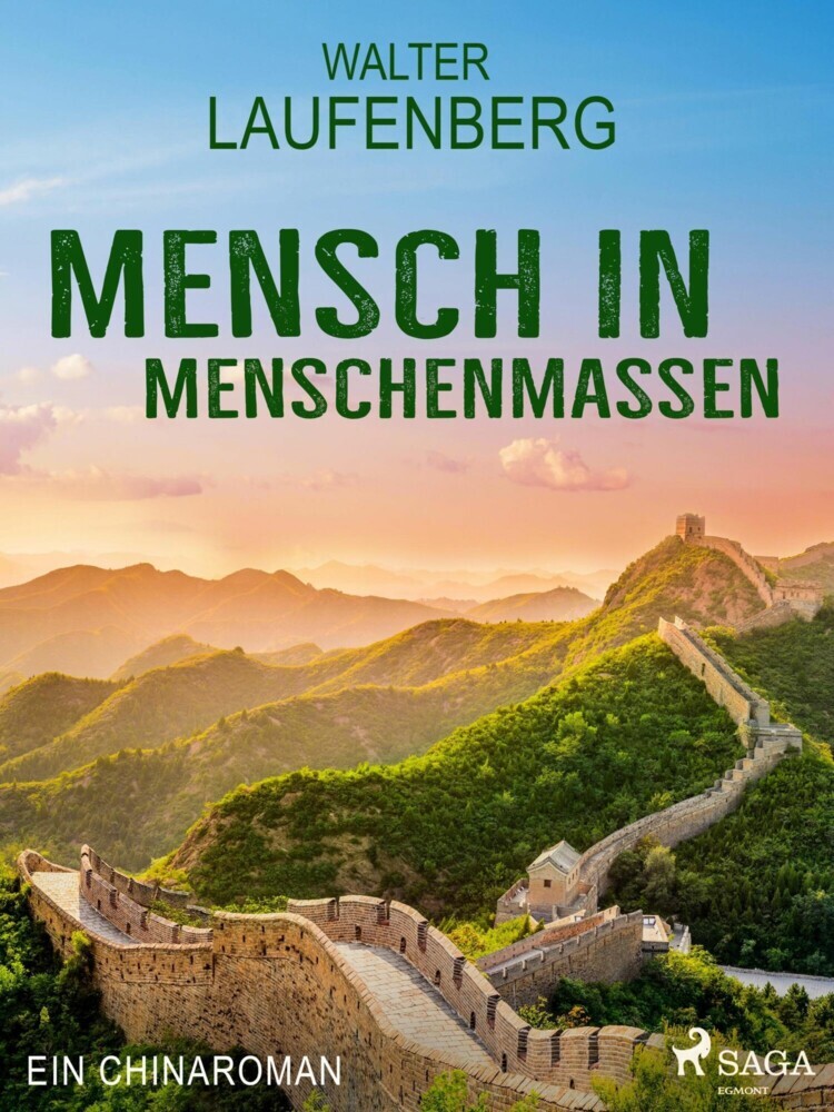 Mensch in Menschenmassen - Ein Chinaroman main product photo