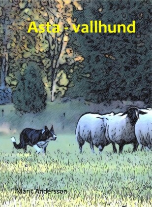 Asta - vallhund