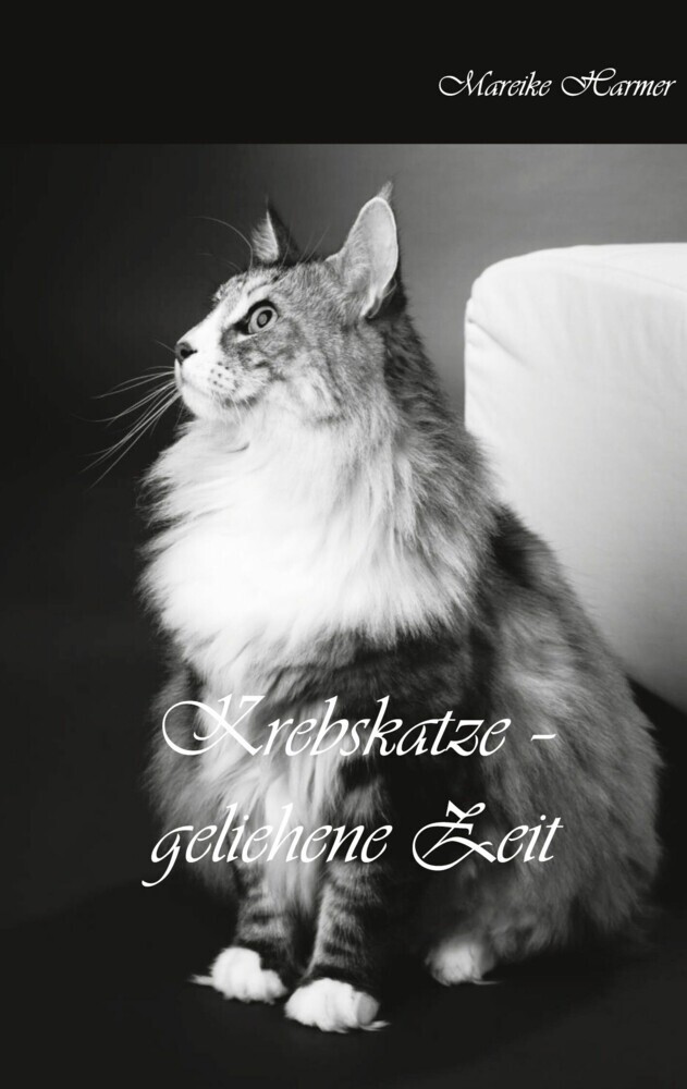 Krebskatze main product photo