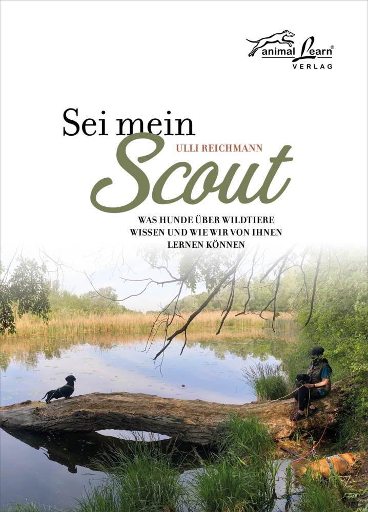 Sei mein Scout main product photo