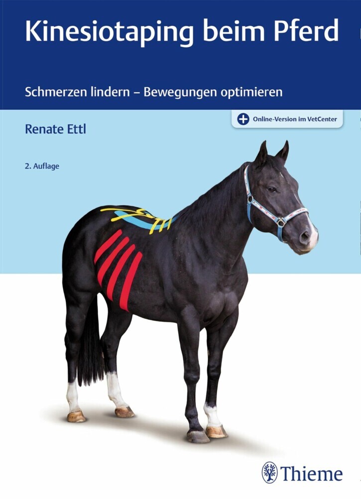 Kinesiotaping beim Pferd main product photo