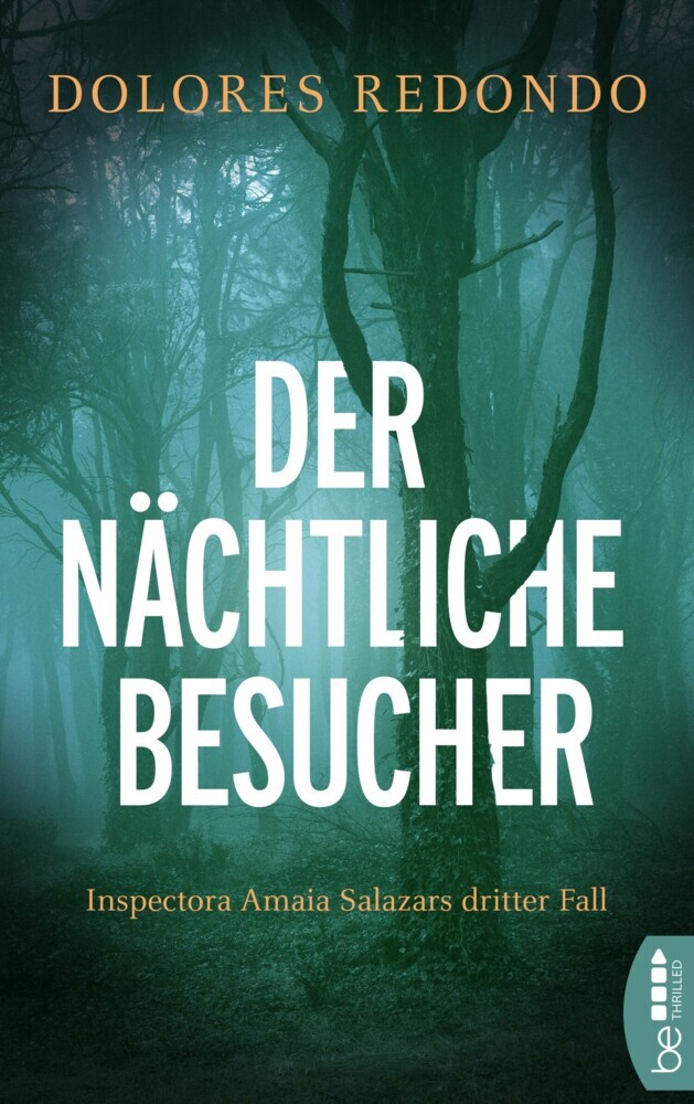 Der nächtliche Besucher main product photo