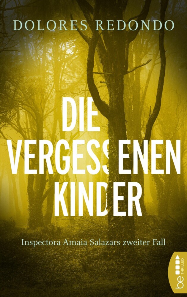 Die vergessenen Kinder main product photo