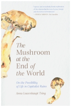 The Mushroom at the End of the World - On the Possibility of Life in Capitalist Ruins