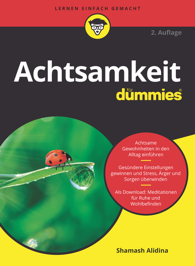 Achtsamkeit für Dummies main product photo