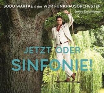 Jetzt oder Sinfonie !, 1 Audio-CD