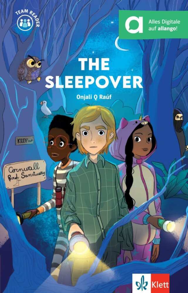The Sleepover main product photo