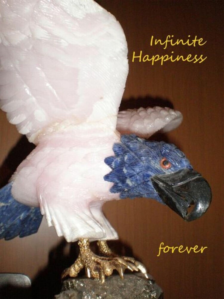Infinite happiness forever main product photo