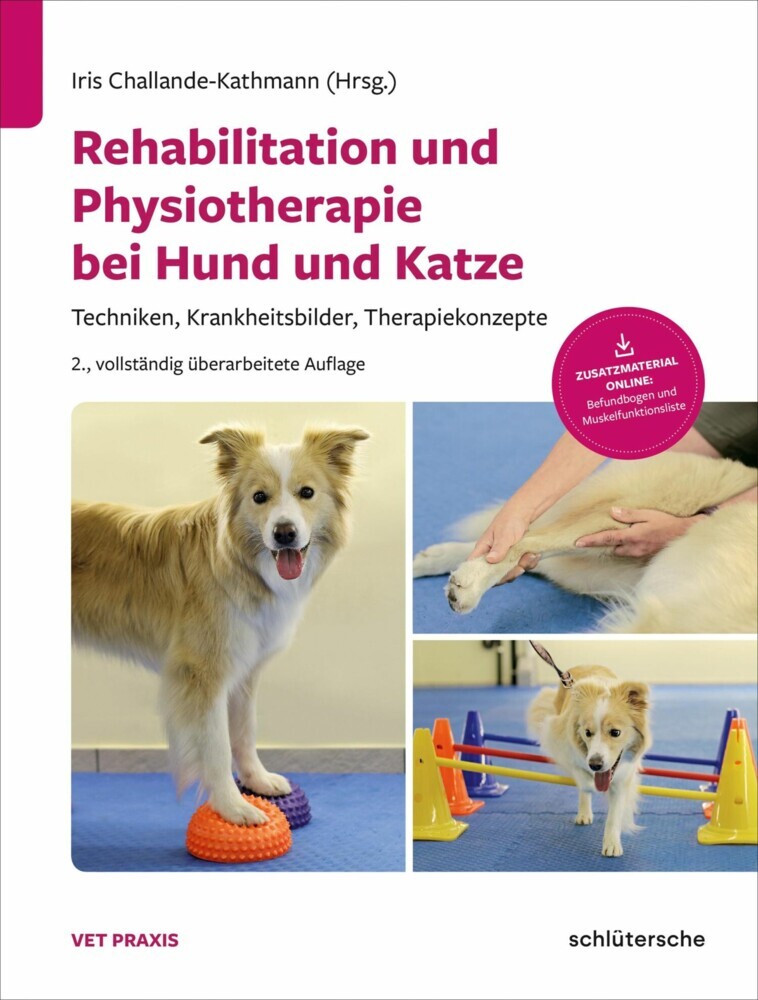 Rehabilitation und Physiotherapie bei Hund und Katze main product photo