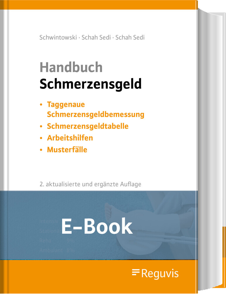 Handbuch Schmerzensgeld (E-Book) main product photo