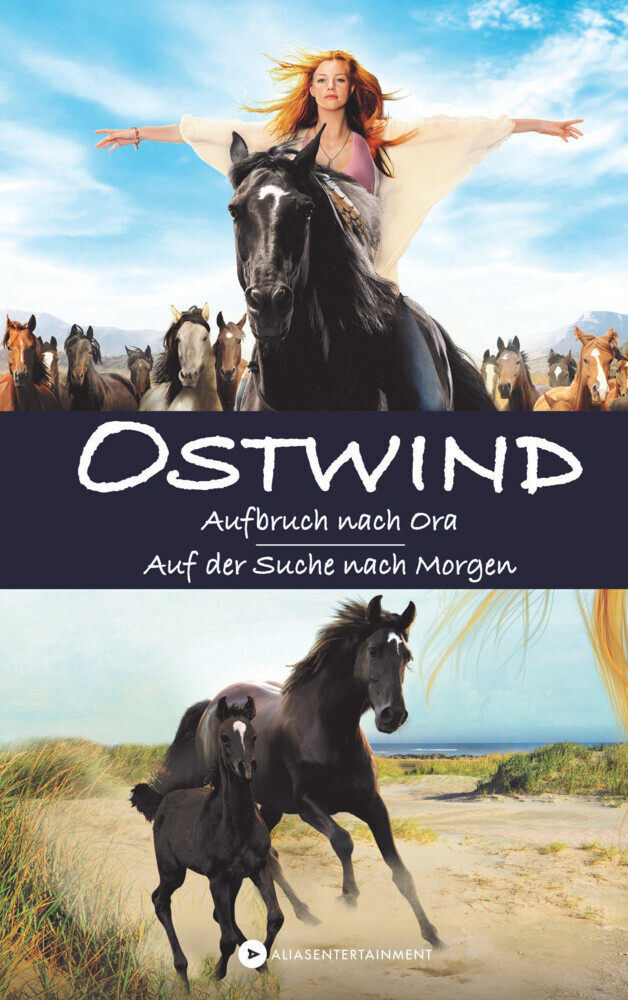 OSTWIND main product photo
