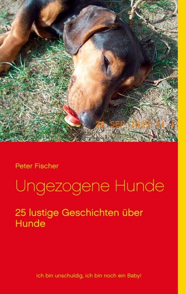 Ungezogene Hunde main product photo