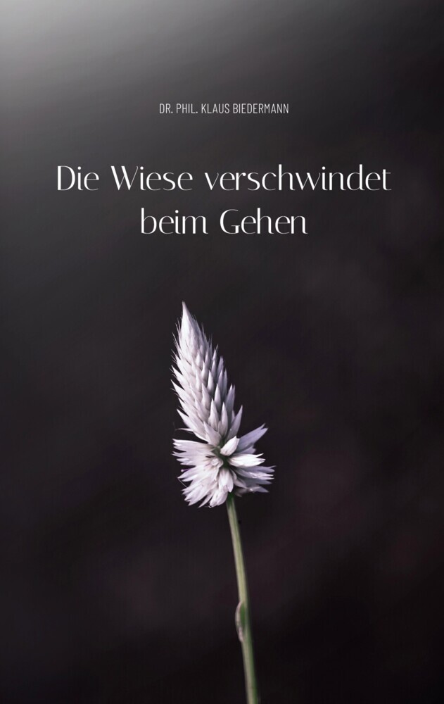 Die Wiese verschwindet beim Gehen main product photo