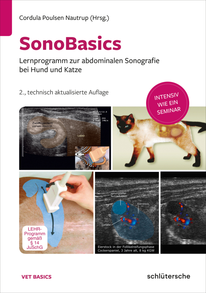 SonoBasics DVD main product photo