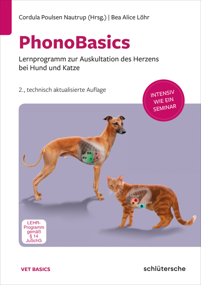 PhonoBasics main product photo