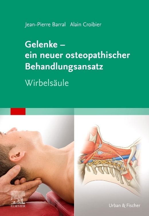 Gelenke - ein neuer osteopathischer Behandlungsansatz main product photo