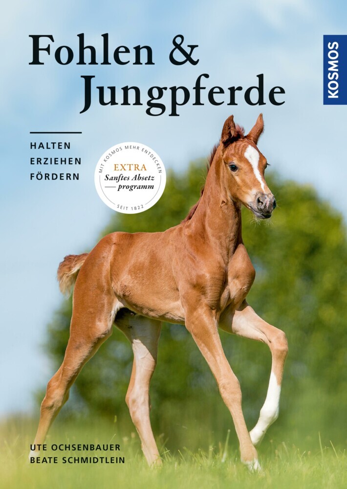 Fohlen und Jungpferde main product photo