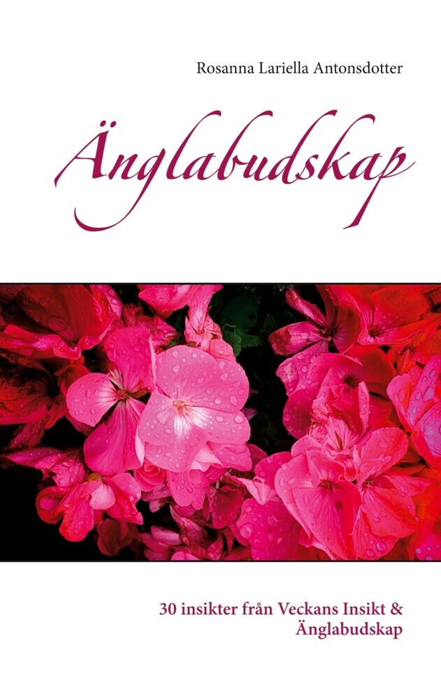 Änglabudskap main product photo