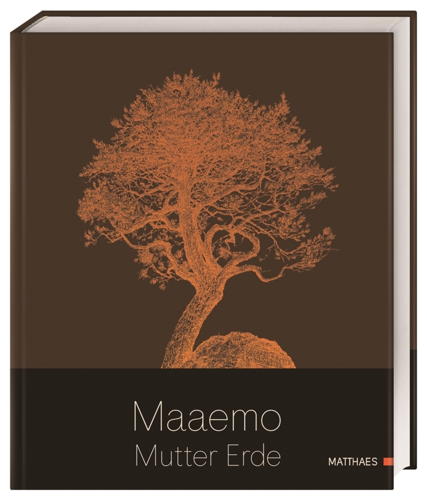 Maaemo main product photo