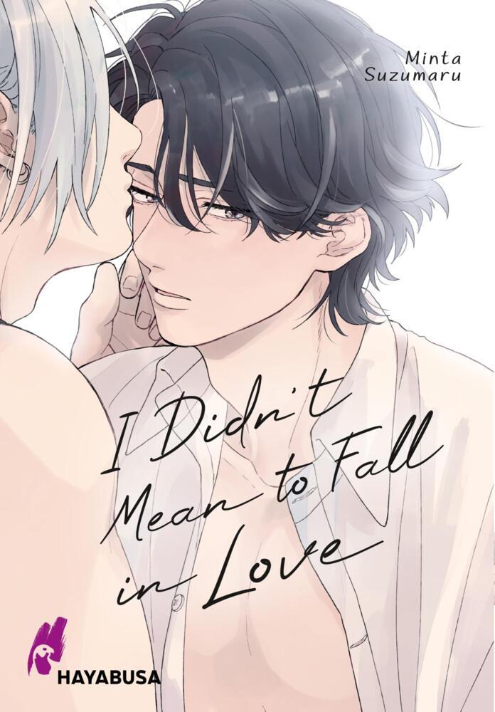 I Didn't Mean to Fall in Love main product photo
