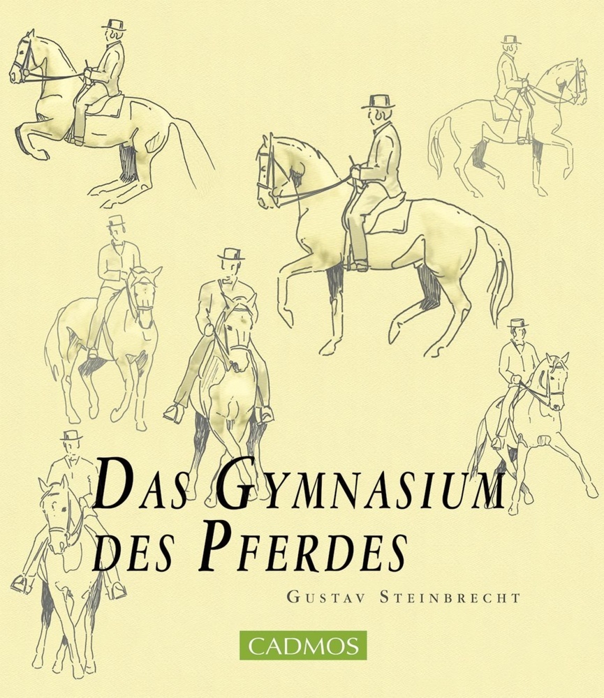 Das Gymnasium des Pferdes main product photo