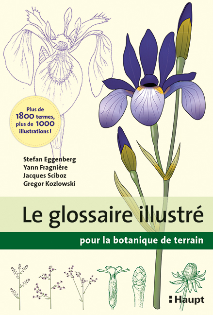 Le glossaire illustré pour la botanique de terrain main product photo
