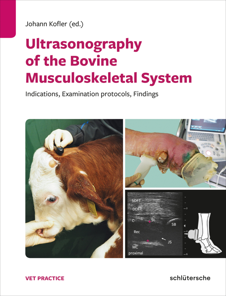 Ultrasonography of the Bovine Musculoskeletal System main product photo