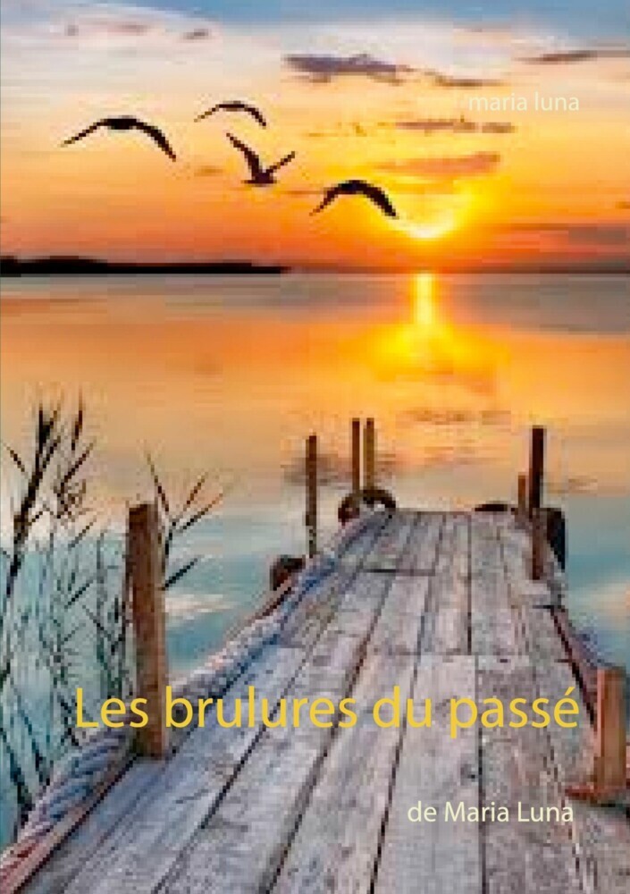 Les brulures du passé main product photo