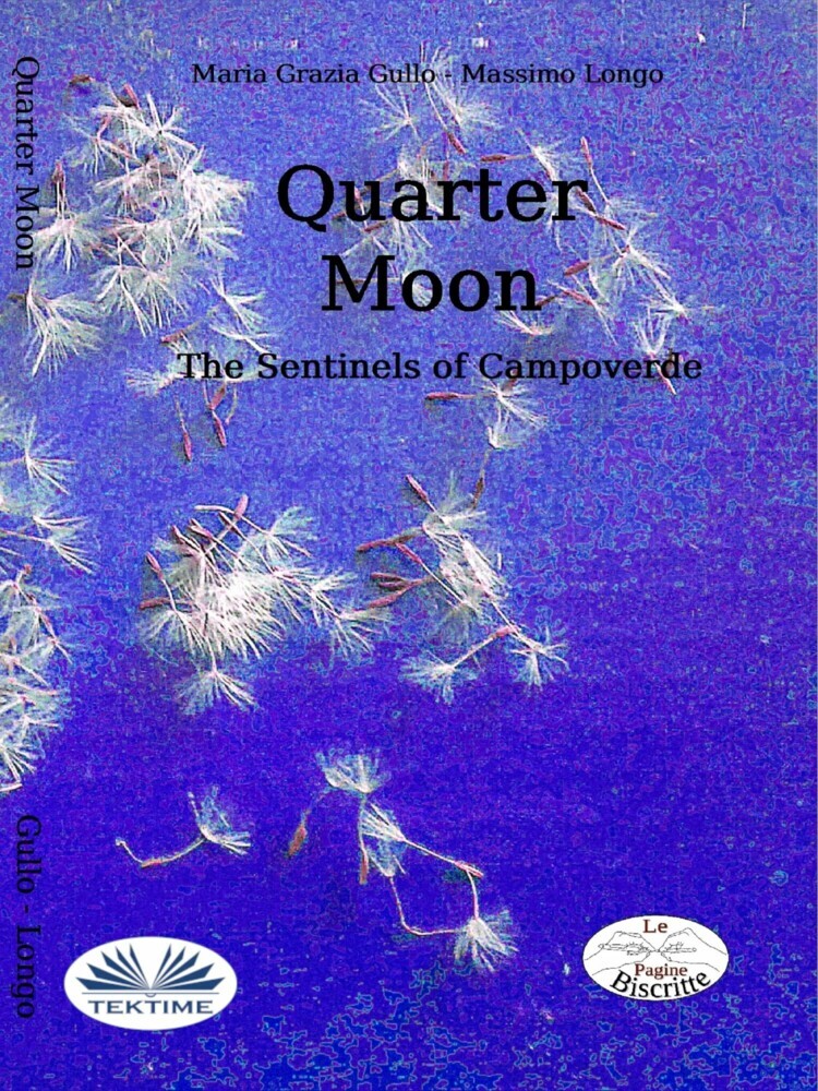 Quarter Moon main product photo