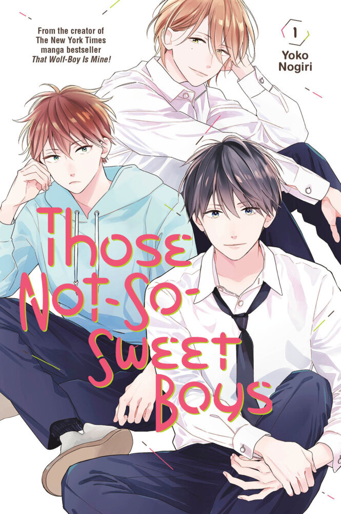 Those Not-So-Sweet Boys 1 main product photo