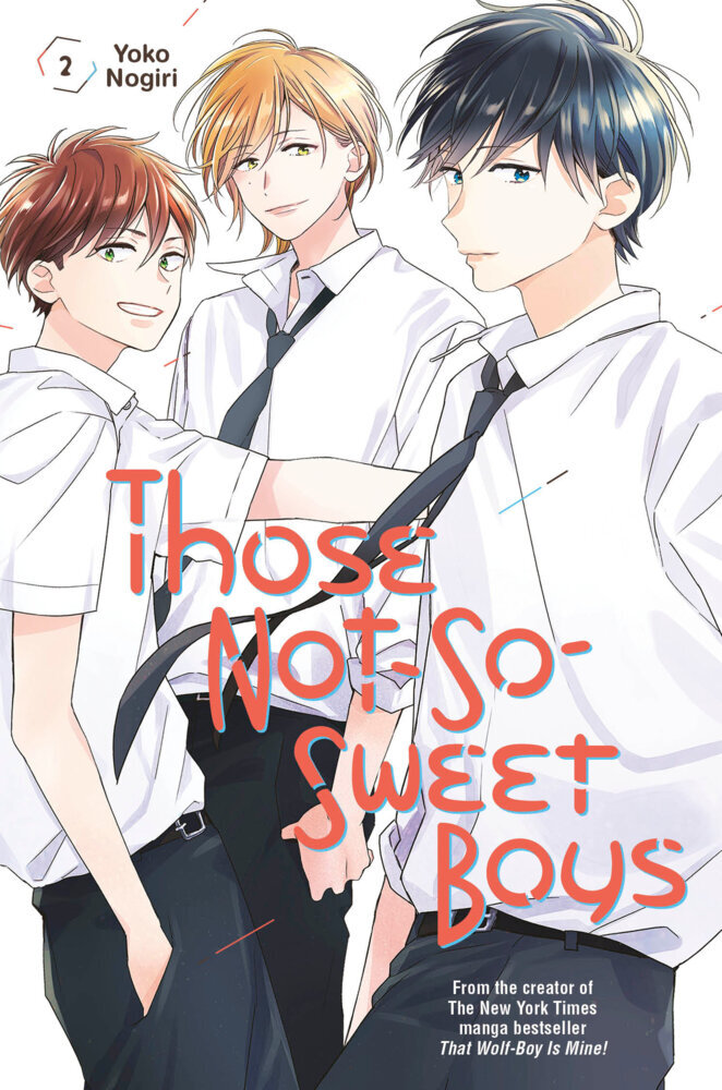 Those Not-So-Sweet Boys 2 main product photo