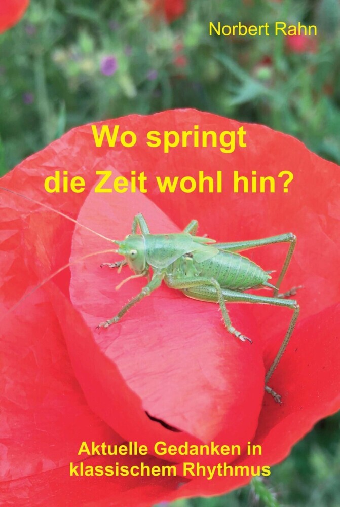 Wo springt die Zeit wohl hin? main product photo
