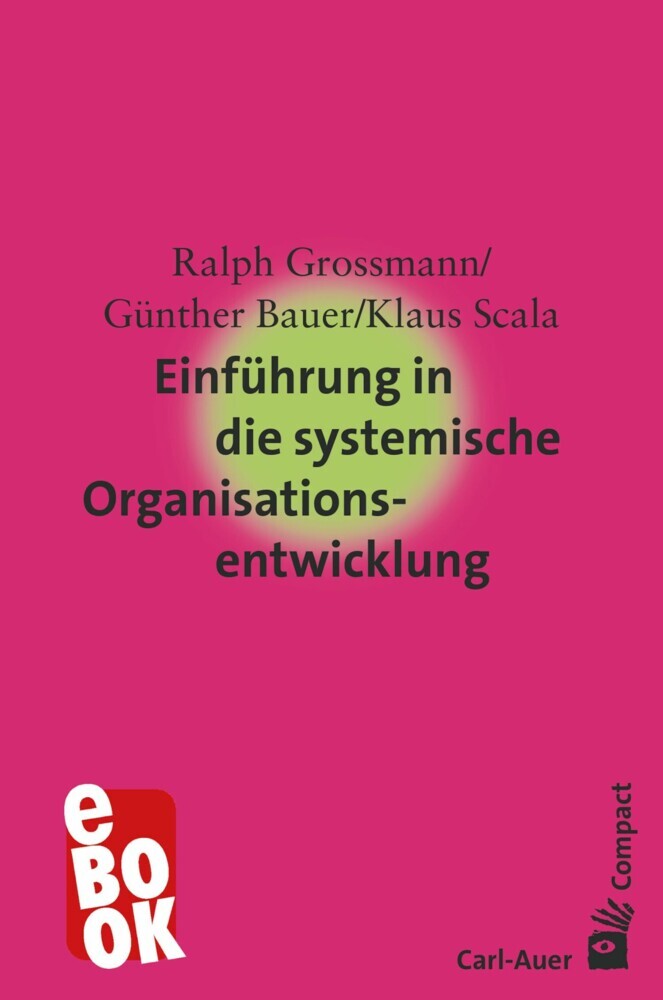 Einführung in die systemische Organisationsentwicklung main product photo
