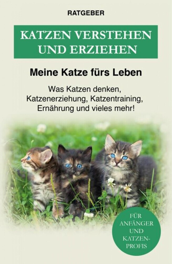 Katzen verstehen und erziehen main product photo