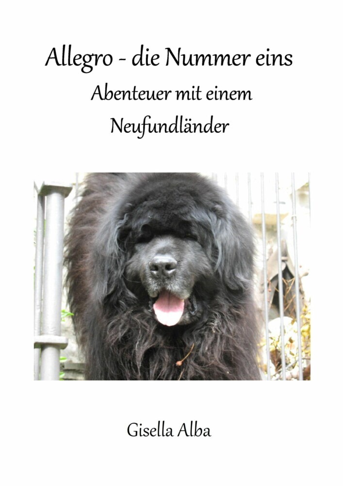 Allegro - die Nummer eins main product photo