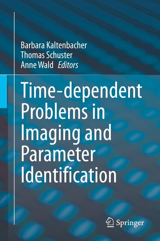 Time-dependent Problems in Imaging and Parameter Identification main product photo