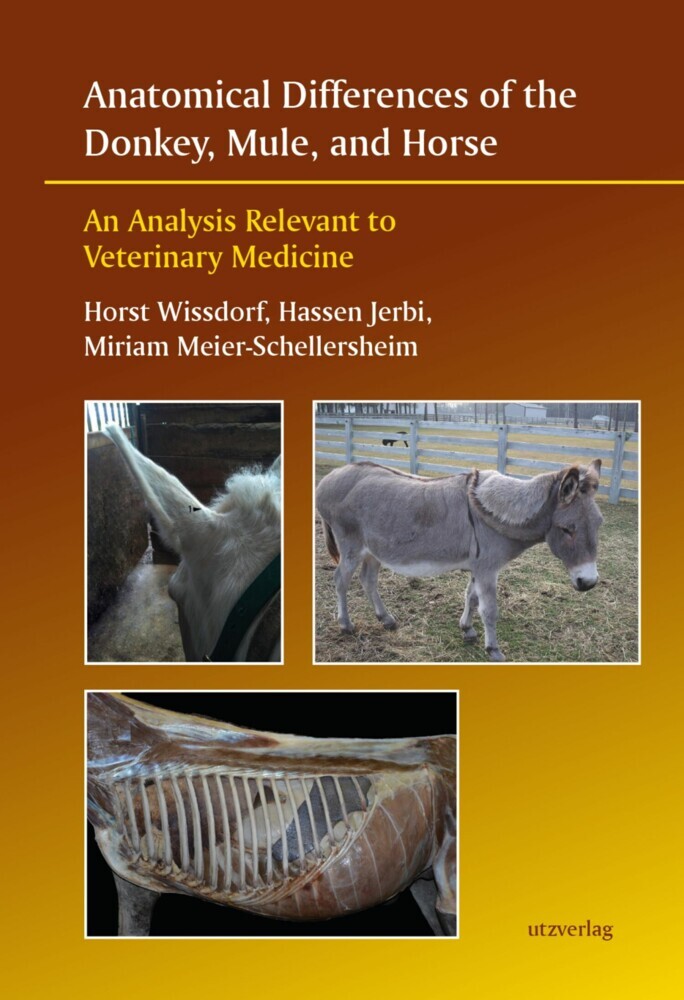 Anatomical Differences of the Donkey, Mule, and Horse main product photo