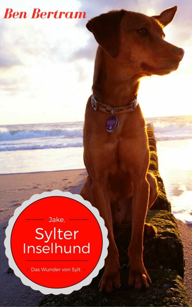 Das Wunder von Sylt main product photo